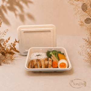 10號紙纖餐盒,10號植纖餐盒,可放輕食沙拉小點小菜,可放三明治美式炸物,日式外帶便當盒500入/箱